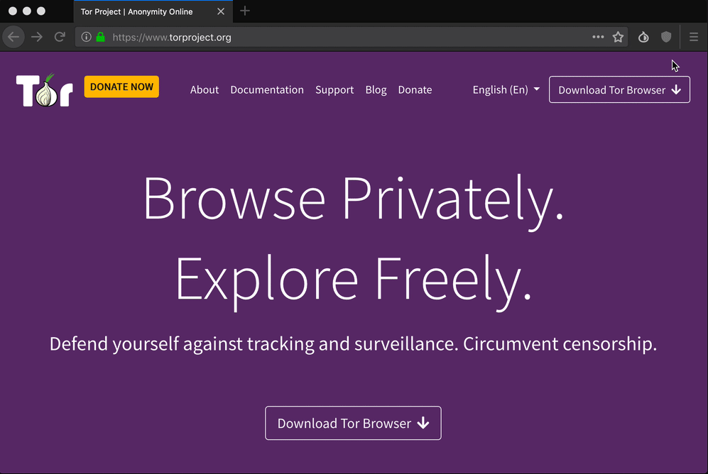 Tor Browser Security 