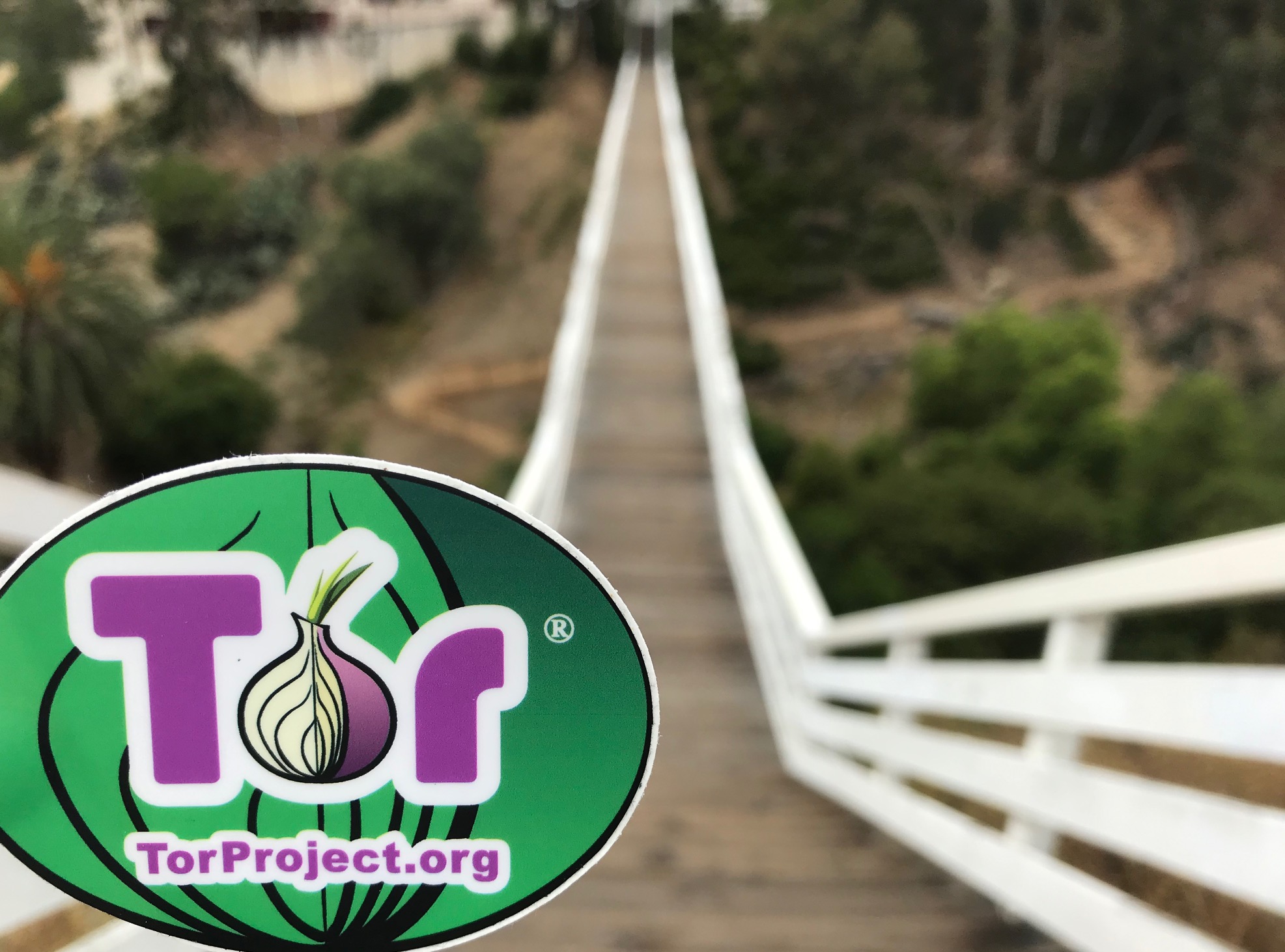 Bridges for tor browser gydra можно ли вырастить марихуану домашних