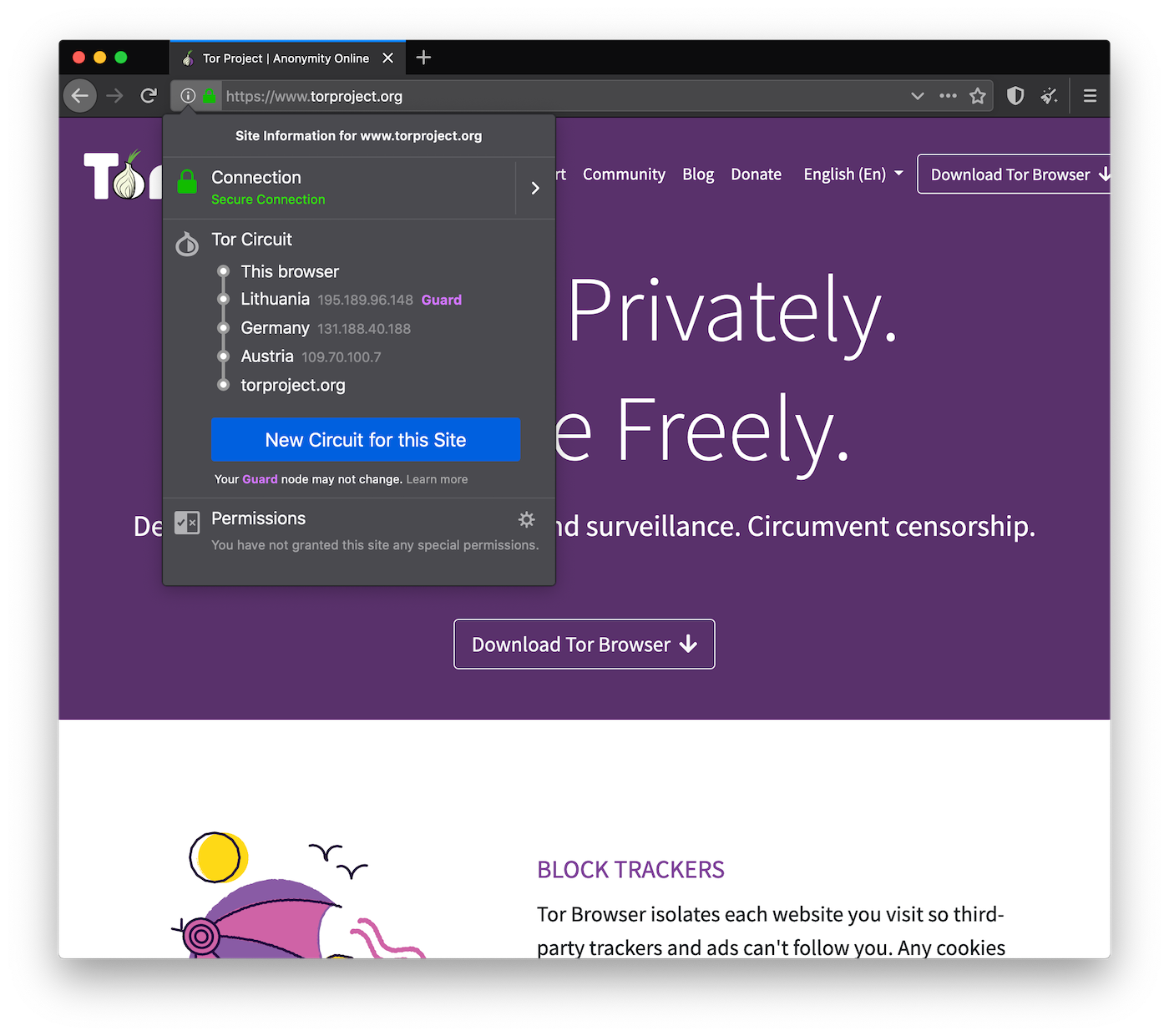 the tor browser browser