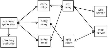 tor network tor network